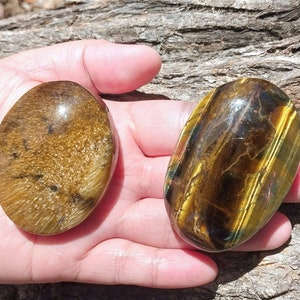 Yellow Tiger Eye Palm stones