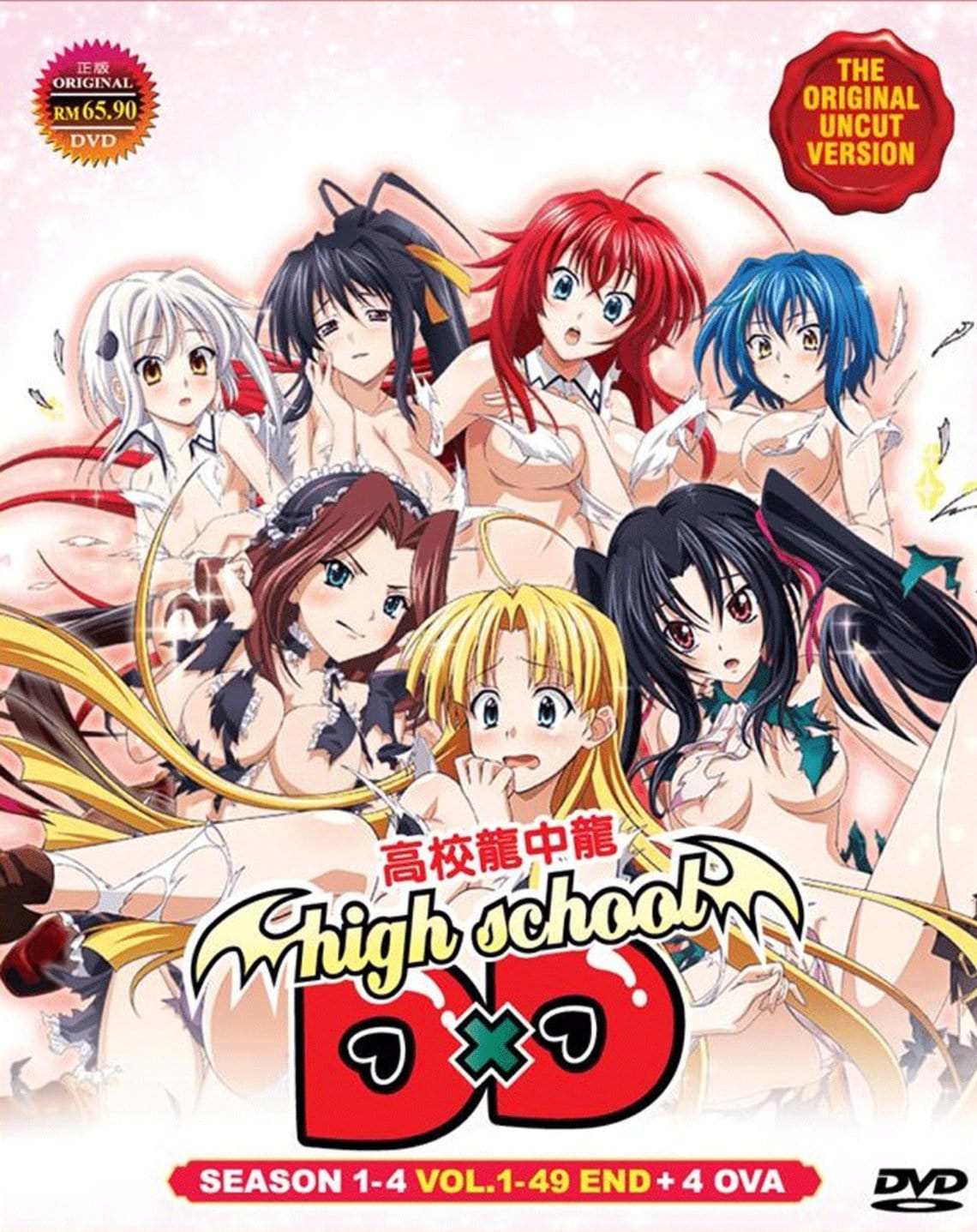 High School DxD: Episodes 1-12 + Extras Dvd 2013 4-Disc Set 704400091667