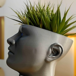 Human Head Planter Pot, Unique Succulent Vase, Modern Indoor Decor, Creative Face Planter, Artistic Flower Pot, Desk or Shelf Accent Piece