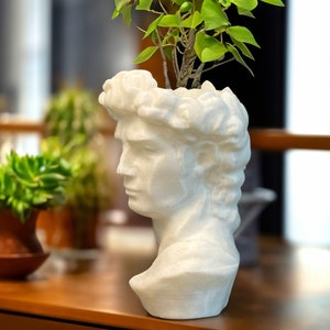 Può includere: Vaso da fiori a forma di busto in gesso bianco con una pianta verde che cresce dalla parte superiore. Il busto è una replica di una scultura classica.