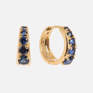 May include: A pair of gold-colored hoop earrings. Each earring features a row of small, round, deep blue gemstones. The earrings are displayed against a plain background, highlighting their design and color.