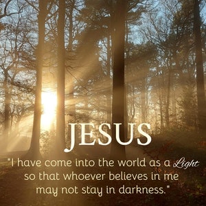 May include: A quote from the Bible about Jesus being the light of the world, displayed on a background of a forest with sunbeams shining through the trees. The quote reads: "I have come into the world as a Light so that whoever believes in me may not stay in darkness."