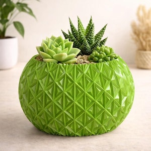 Maceta con patrón geométrico: elegante jarrón impreso en 3D para suculentas y plantas pequeñas.