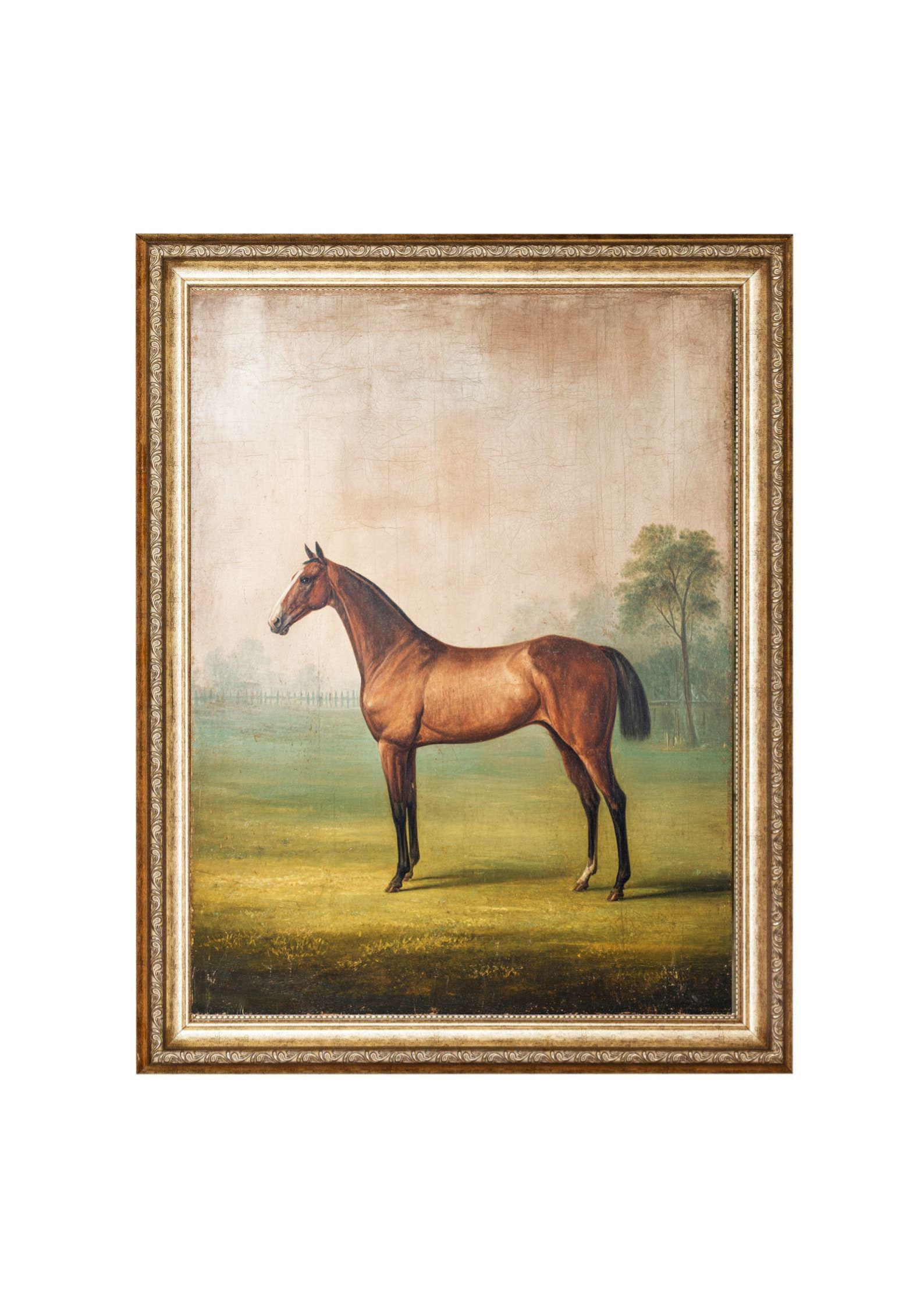 Vintage Horse Portrait, Equestrian Oil Painting (digital Prints) - Etsy