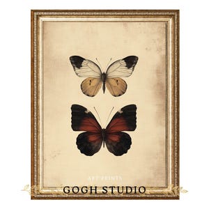 Schmetterling Illustration Vintage Wandkunst - Antike Entomologie druckbare, Naturgeschichte Insekt Druck für Arbeitszimmer oder Galerie Wanddekoration