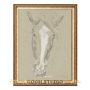 Horse Head Vintage Sketch Printable Animal Art Charcoal Drawing Realistic Farmhouse Wall Decor for Country Home or Gallery