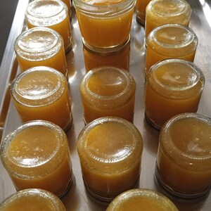 confiture de mangue ou mangue romarin fabrication artisanale sans additif ni conservateur 200 ml image 4