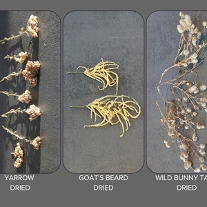 Puede incluir: Tres manojos de flores secas, etiquetados como "Yarrow Dried", "Goat's Beard Dried" y "Wild Bunny Tails Dried".