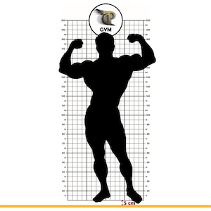 Posture Grid (culturismo, fitness, proporciones de los músculos del cuerpo)