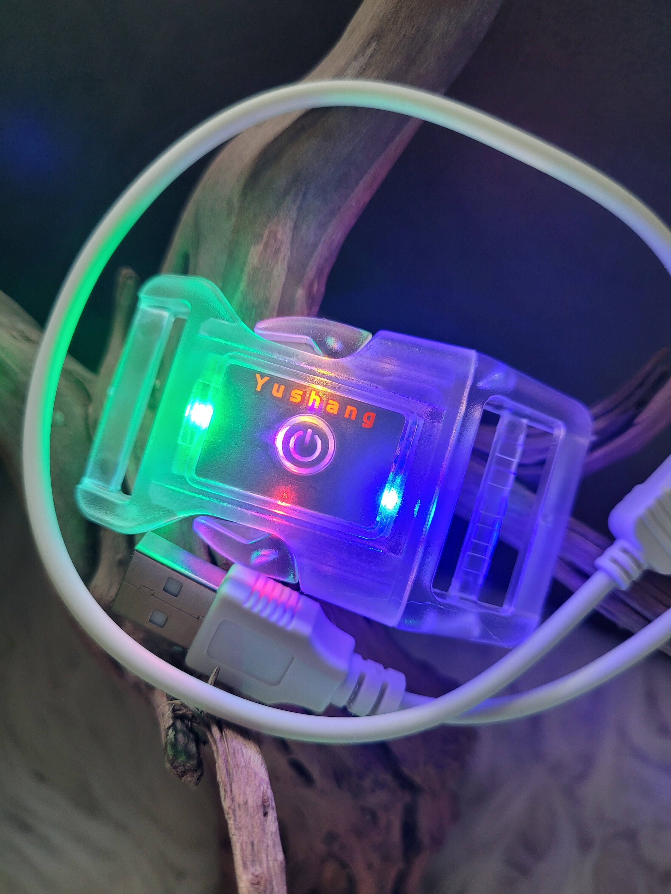 LED buckle for dog collar, snap fastener