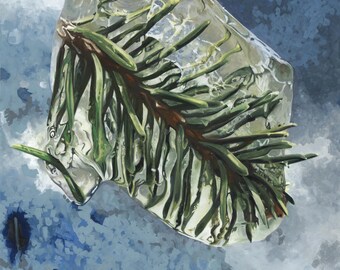 Frozen Pine - Photorealistic Gouache Painting - Art Print by April Warren