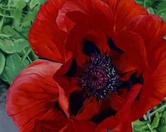 Red Poppy - Photorealistic Gouache Painting - Art Print by April Warren