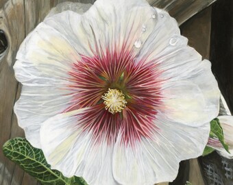 Hollyhock - Photorealistic Gouache Painting - Art Print by April Warren
