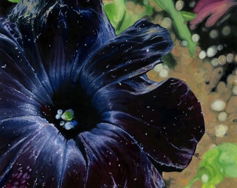 Black Petunia - Photorealistic Gouache Painting - Art Print by April Warren
