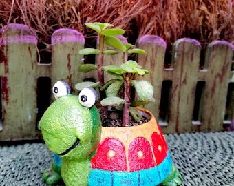 Jardinière en ciment faite main pour animaux : pot en béton d'intérieur