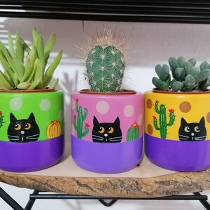 May include: Three painted terracotta pots with purple rims, each featuring a black cat face and a cactus design. The pots are filled with different succulents, including a green cactus, a green succulent, and a green and brown succulent.