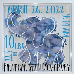 Personalized Shadow Box | 12 x 12, Flowers, Graduation, University, Teacher, Nurse, Birth Stat, Milestone