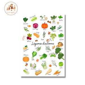 Dekoratives Küchenplakat, dekoratives Herbstgemüseplakat, Herbstgemüseplakat