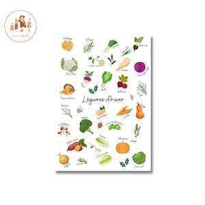 Decorative kitchen poster, decorative winter vegetable poster, winter vegetable poster