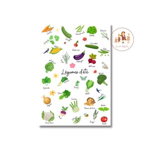 Decorative kitchen poster, decorative summer vegetable poster, summer vegetable poster