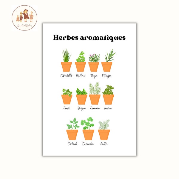 Affiche décorative cuisine, affiche décorative herbes aromatiques, aromatics herbs, erbe aromatiche, kitchen poster