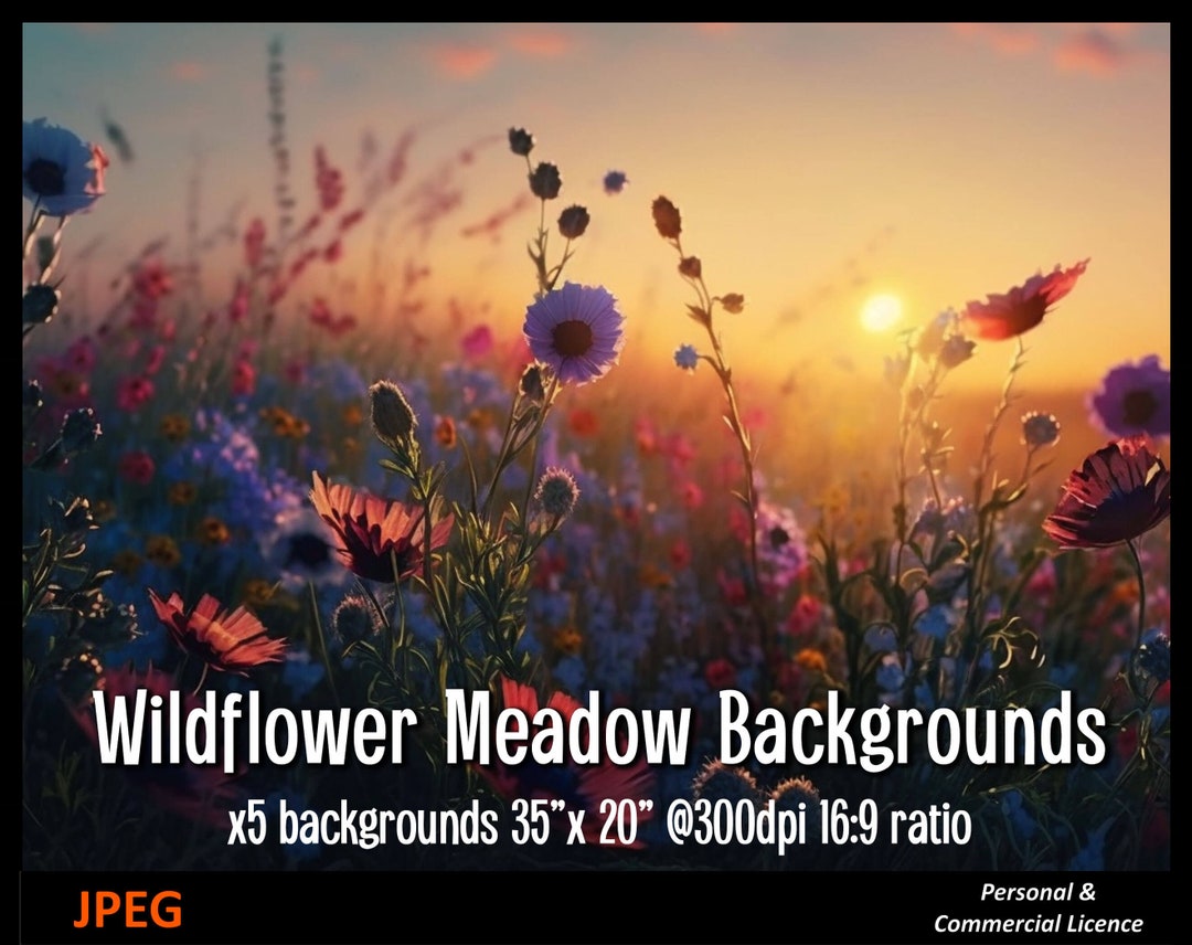 Wildflower Meadow Backgrounds Jpegs, 169 Ratio,