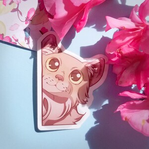 Fluffy cat corner (Sticker 4.2x6 cm)