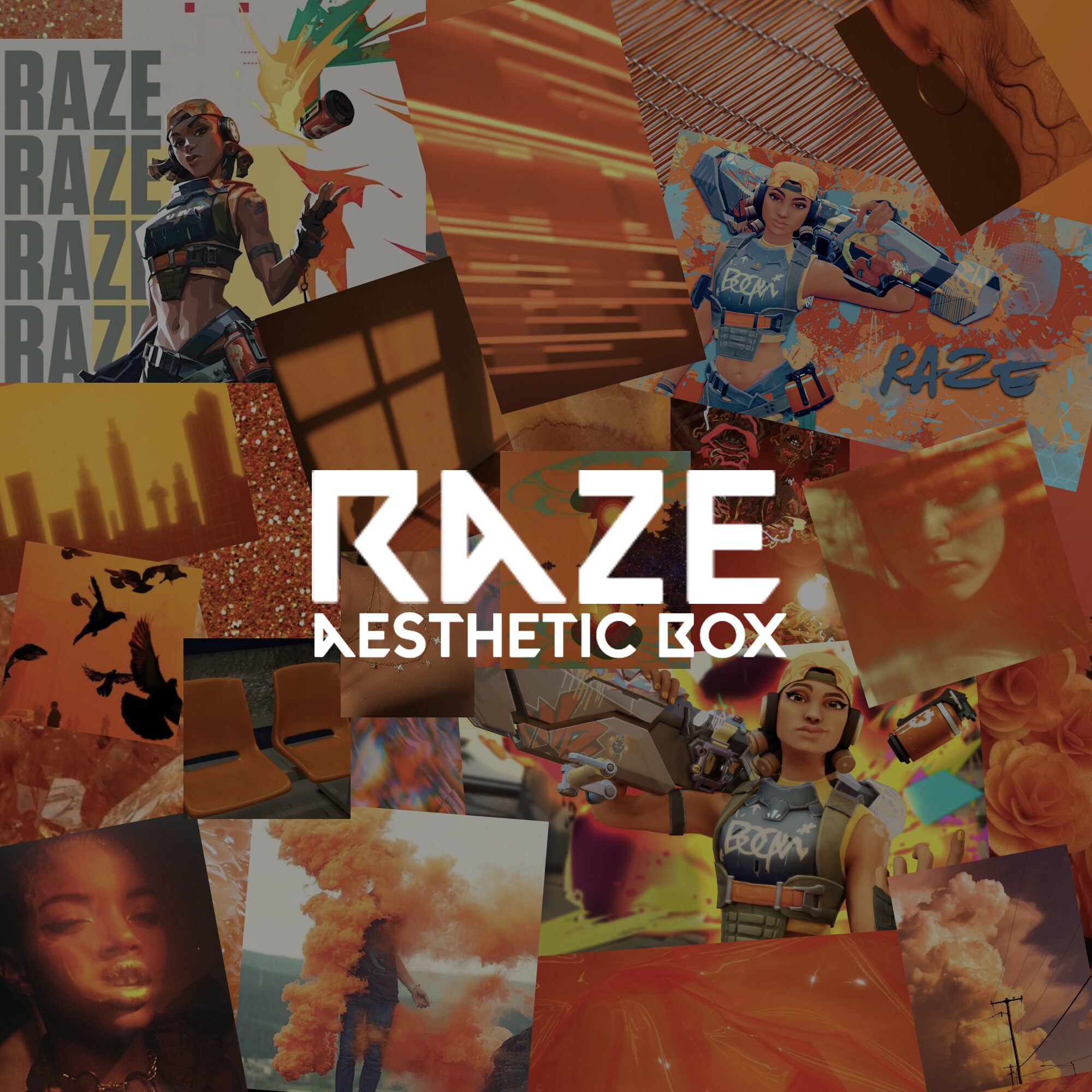40+ Raze (Valorant) HD Wallpapers and Backgrounds