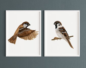 Kunstdruck Set Vögel Sperling Spatz auf Ast Aquarell Fineart Print