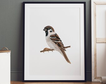 Kunstdruck Vogel Sperling Spatz auf Ast Aquarell Fineart Print