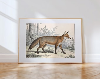 Grafika ścienna z lisem w stylu vintage – do pobrania w wersji cyfrowej