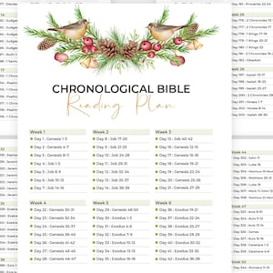 Può includere: Un diario devozionale bianco con un piano di lettura biblica cronologica. Le pagine sono piene di testo, organizzate per settimane e giorni, con accenti floreali decorativi. Il testo include "Piano di lettura biblica cronologica" e "Diario devozionale".