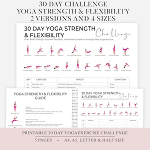 30 Day Challenge Wall Pilates Workout, Wall Exercise for Women, Flat Stomach Challenge, Core Strength, Instant Download, Printable, PDF