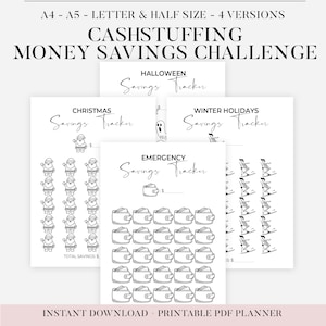 Suivi des économies Plus de 60 ans au choix, suivi économique, plastifié, réutilisation, défi économie, défi épargne, aide à économiser, porte-monnaie