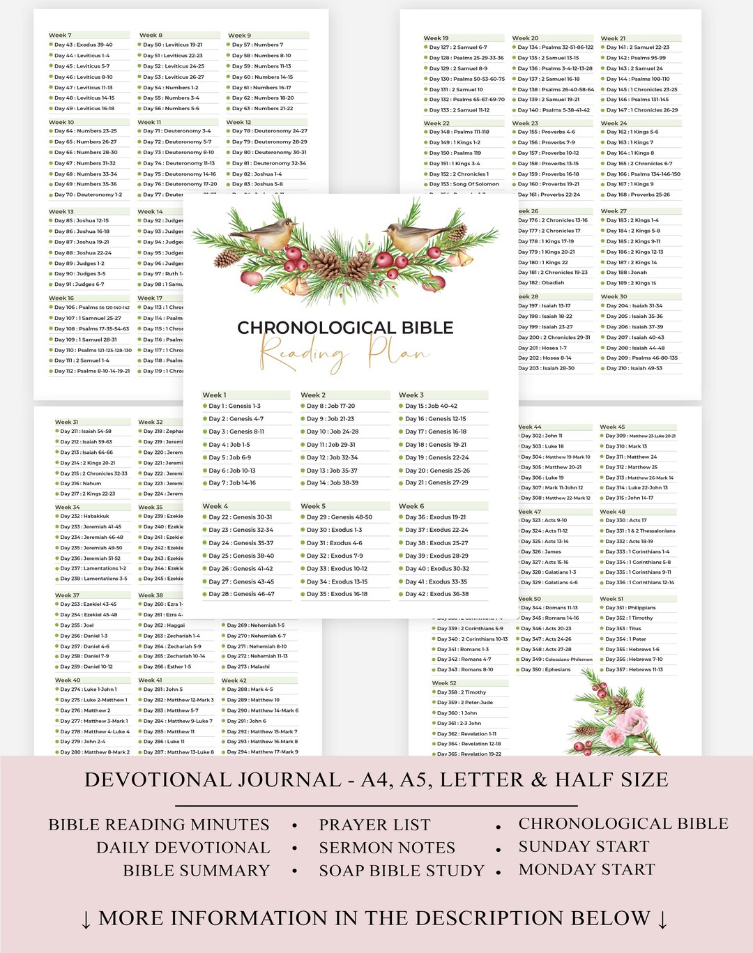 Chronological Bible Reading Plan Printable Bible Tracker One Year Bible ...