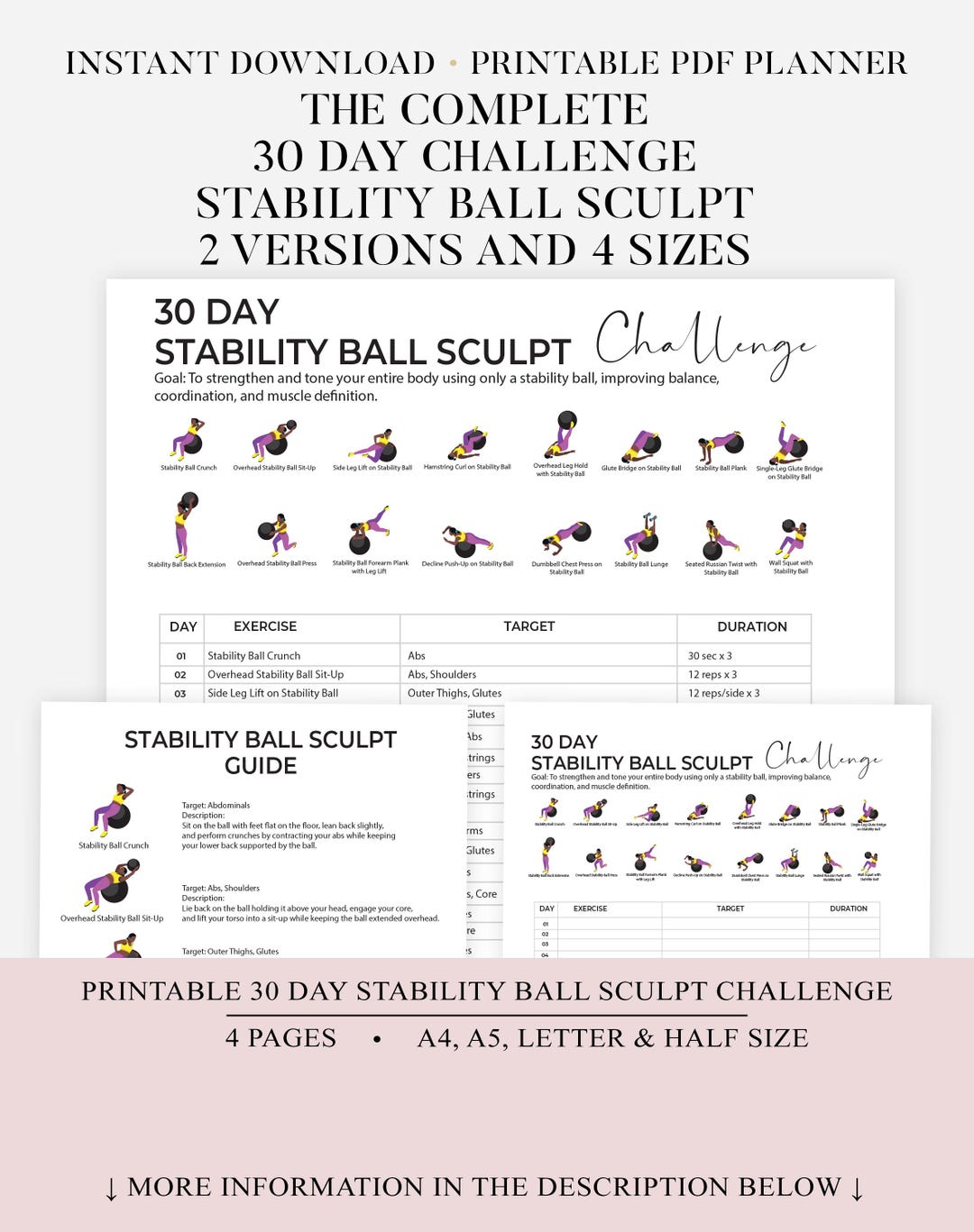 Stability Plan Stability Ball Workout Plan | Full Body Workout Plan | Strengthen Legs ...