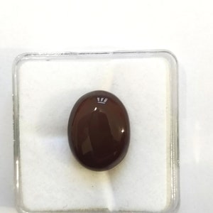 May include: A dark brown oval gemstone in a clear plastic box.