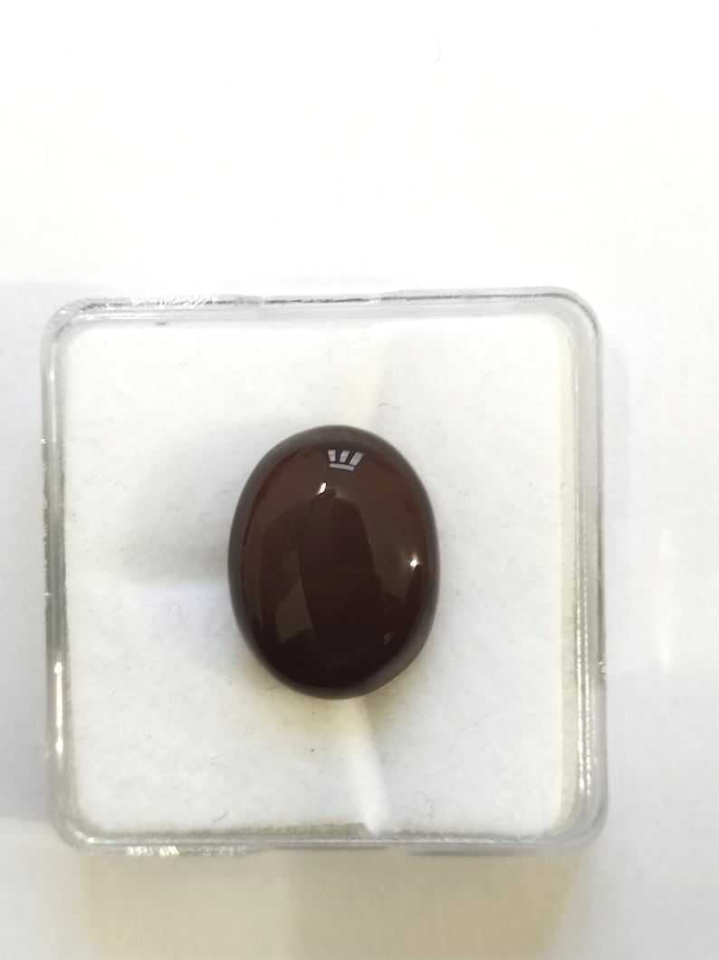 May include: A dark brown oval gemstone in a clear plastic box.