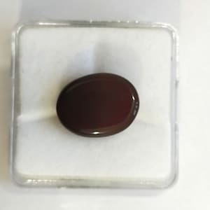 May include: A dark red oval gemstone in a clear plastic display case.