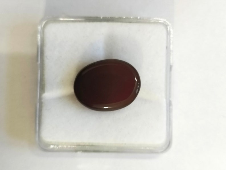 May include: A dark red oval gemstone in a clear plastic display case.