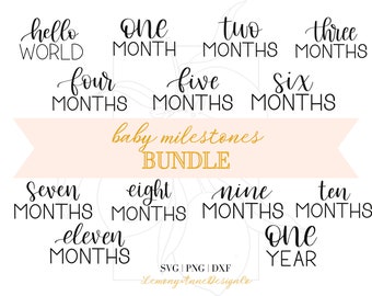 13 Baby Milestone SVG Bundle | PNG | DXF | Baby Gift | Baby Milestone Discs | Monthly Milestones | Hello World | First Birthday | Newborn