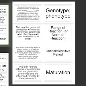 EPPP- Entwicklungs-/Lebensspanne Flash Cards