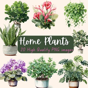 Clipart collectie cartoon planten - afbeeldingen van kamer- en tuinplanten - 20 geïllustreerde png-planten voor directe download - hobby tuinieren