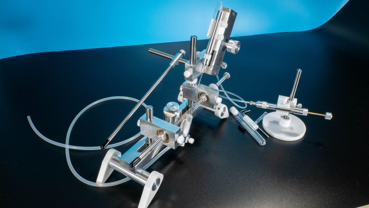 Queen Bee Insemination Instrument – Set for Instrumental Insemination ...