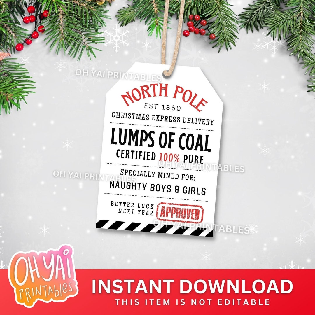 Lumps of Coal Tag, Coal Tag, Lumps of Coal Treats Tag, Christmas Coal ...