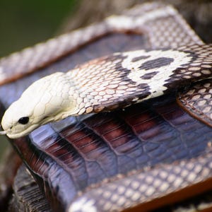 Cartera de piel de cobra auténtica hecha a mano con cabeza de cobra / Cartera plegable de piel de serpiente exótica / Cartera de reptil personalizada