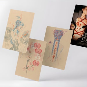 16 cartes illustrées de shibari + CLIP shibari