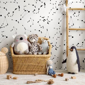 Carta da parati minimalista Constellation Black & White - A116