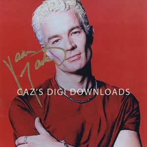 Buffy The Vampire Slayer &quot;Spike&quot; James Marsters 10x8 Autograph Photo Print - Print at Home