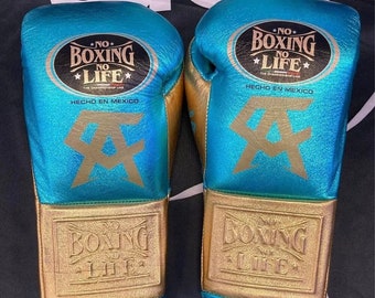 Personalized Boxing Gloves, No Boxing No Life Gloves,10oz, 12oz, 14oz, 16oz Available All Sizes & Colours, Birthday Gift for Him